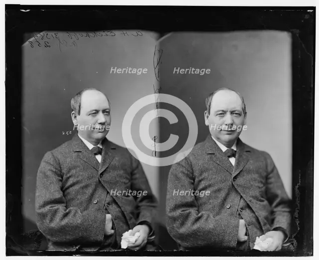 Gerhard Anton Eickhoff of New York, 1865-1880. Creator: Unknown.