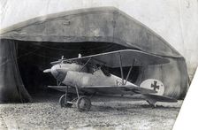 German Albatros DV, Souilly, France, 2 January 1918