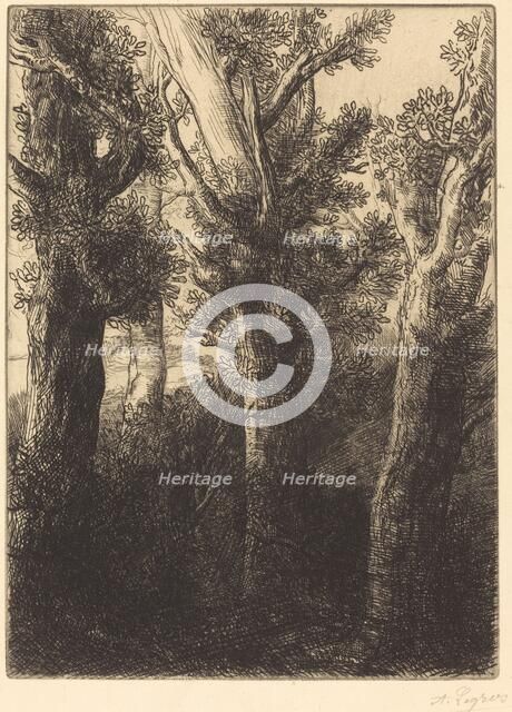 German Forest, Downley. Creator: Alphonse Legros.