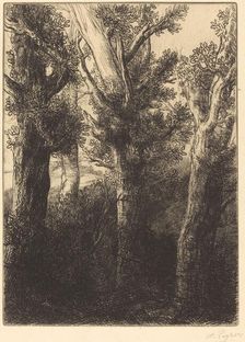 German Forest, Downley. Creator: Alphonse Legros
