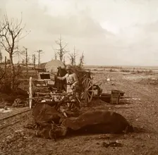German horse-drawn vehicle, Tahure, northern France, c1914-c1918