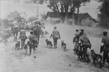 German Red Cross Dogs going to front, between c1915 and 1918. Creator: Bain News Service