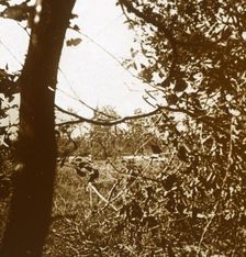German trenches, c1914-c1918