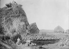 Germans in S.W. Belgium, between 1914 and c1915. Creator: Bain News Service
