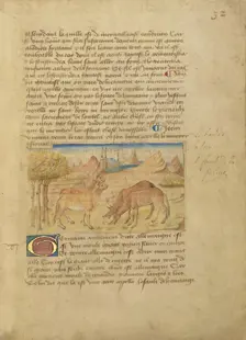 Germany (Germanie); Livre des merveilles du monde (Book of the Marvels of the World), about 1460-65. Creator: Master of the Geneva Boccaccio