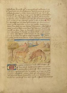 Germany (Germanie); Livre des merveilles du monde (Book of the Marvels of the World), about 1460-65. Creator: Master of the Geneva Boccaccio