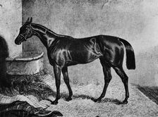 Ghuznee 19th century, (1911)