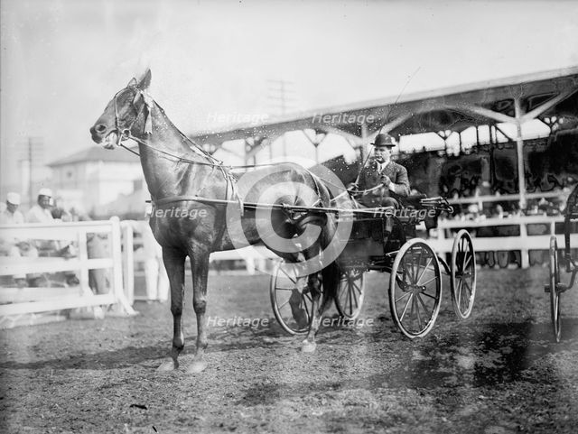 Gheen, J.O - Driving 'Boscobel' In Horse Show, 1912. Creator: Harris & Ewing.