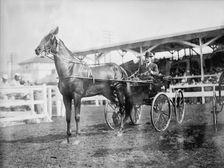 Gheen, J.O - Driving Boscobel In Horse Show, 1912. Creator: Harris & Ewing