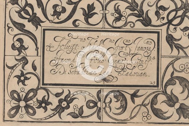 Ghirlanda: Di sei vaghi fiori scielti da piu famosi Giardini d'Italia, page 37 ..., October 1, 1604. Creators: Pietro Paulo Tozzi, Antonello Bertozzi, Sebastian Zanella.