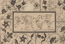 Ghirlanda: Di sei vaghi fiori scielti da piu famosi Giardini d'Italia, page 41 ..., October 1, 1604. Creators: Pietro Paulo Tozzi, Antonello Bertozzi, Sebastian Zanella