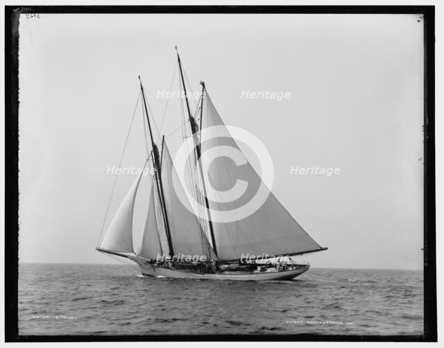 Gitana, between 1882 and 1899. Creator: Unknown.