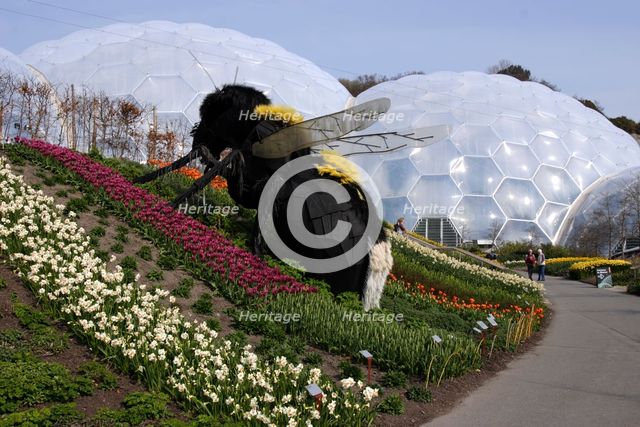 Giant bumble bee sculpture, Eden Project, near St Austell, Cornwall. 