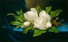 Giant Magnolias on a Blue Velvet Cloth, c. 1890. Creator: Martin Johnson Heade