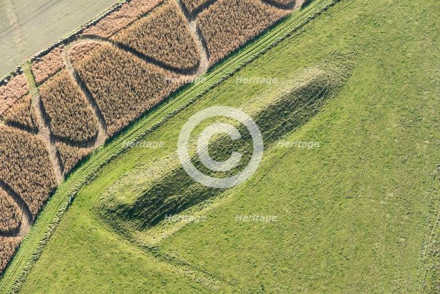 Giant's Grave Long Barrow on Fyfield Down, Wiltshire, 2017. Creator: Damian Grady.