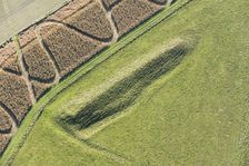Giant's Grave Long Barrow on Fyfield Down, Wiltshire, 2017. Creator: Damian Grady