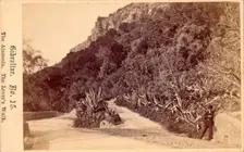 Gibraltar, The Alameda, The Lover's Walk, 19th century. Creator: Anon
