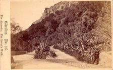 Gibraltar, The Alameda, The Lover's Walk, 19th century. Creator: Anon