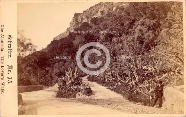 Gibraltar, The Alameda, The Lover's Walk, 19th century. Creator: Anon.