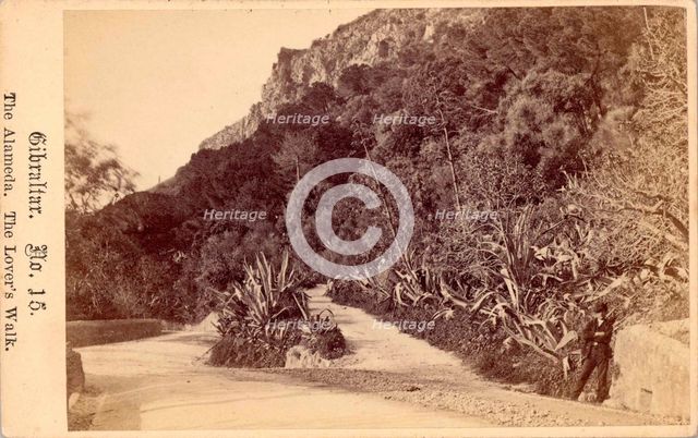Gibraltar, The Alameda, The Lover's Walk, 19th century. Creator: Anon.