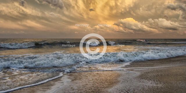 Gilded. Creator: Eve Turek.