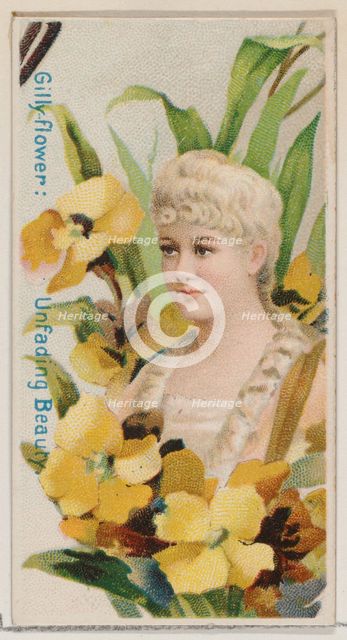 Gilly-flower: Unfading Beauty, from the series Floral Beauties and Language of Flowers (N7..., 1892. Creator: Donaldson Brothers.
