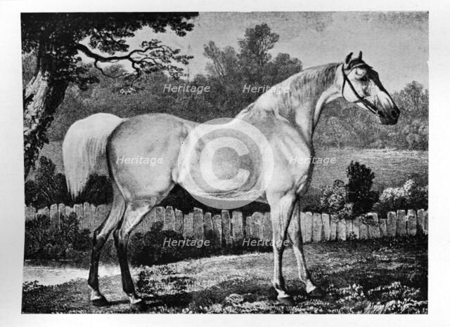 'Gimcrack', 1760 -1777, (1911). Artist: Unknown.