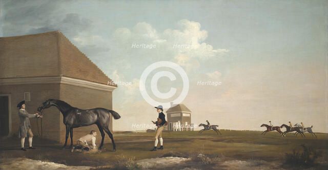 Gimcrack on Newmarket Heath, with a Trainer, a Stable-Lad, and a Jockey, 1765. Artist: Stubbs, George (1724-1806)