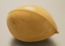 Gingko Nut, Mid-19th century. Creator: Ohara Mitsuhiro
