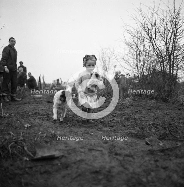 Gipsy child with a puppy, Lewes, Sussex, 1963.