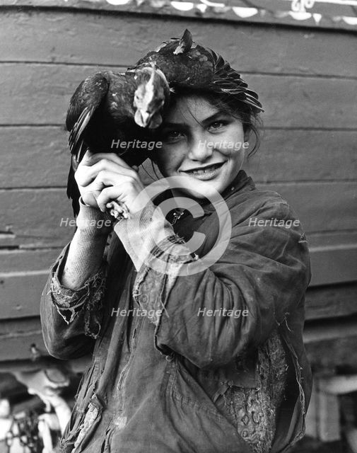 Gipsy girl holding a chicken, 1960s. 