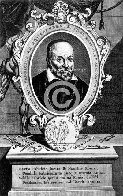 Girolamo Fabrici, Italian anatomist and surgeon, 17th century. Creator: Unknown.