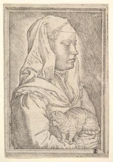 Girl with a Cat, 1546. Creator: Jan Cornelisz Vermeyen