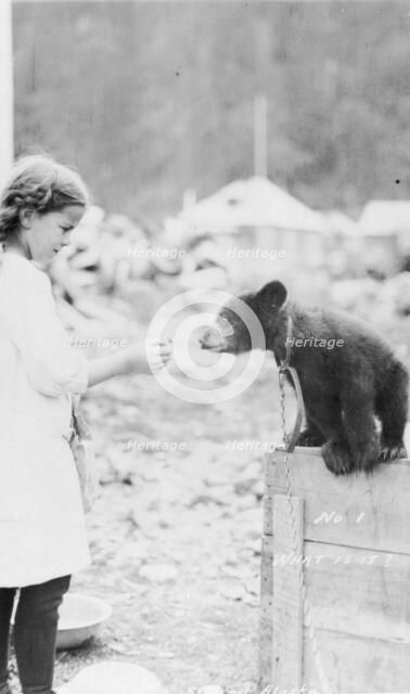 Girl and bear cub, between c1900 and 1916. Creator: Unknown.
