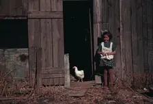 Girl next to barn with chicken, between 1941 and 1942. Creator: Unknown