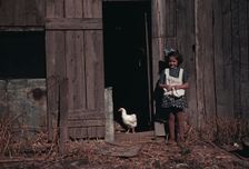 Girl next to barn with chicken, between 1941 and 1942. Creator: Unknown