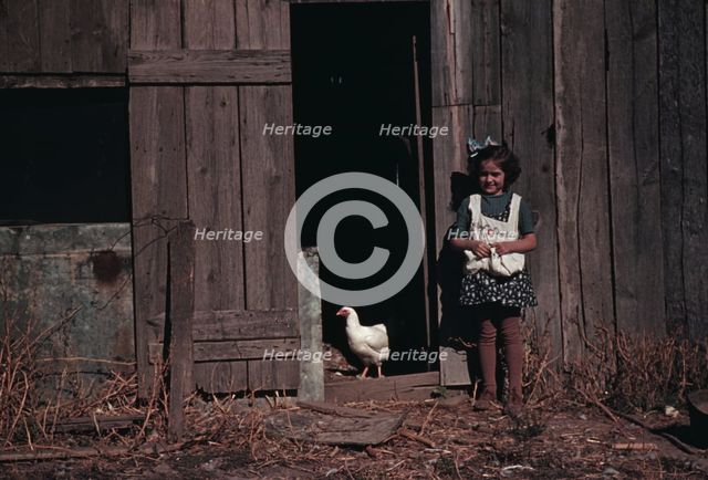 Girl next to barn with chicken, between 1941 and 1942. Creator: Unknown.