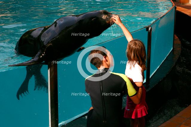 Girl petting a sea lion Loro Parque, Tenerife, Canary Islands, 2007.