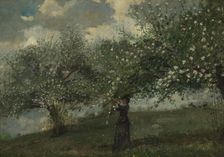 Girl Picking Apple Blossoms, 1879. Creator: Winslow Homer