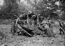 Girl Scouts Gardening, 1917. Creator: Harris & Ewing
