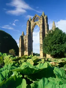Gisborough Priory, Redcar and Cleveland, 2010. Artist: Mike Kipling