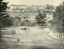 Gladesville Asylum for the Insane, New South Wales 1901. Creator: Unknown