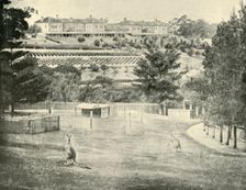 Gladesville Asylum for the Insane, New South Wales 1901. Creator: Unknown