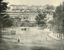 Gladesville Asylum for the Insane, New South Wales 1901. Creator: Unknown