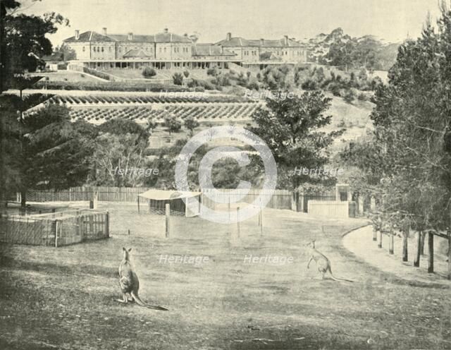 'Gladesville Asylum for the Insane, New South Wales', 1901. Creator: Unknown.