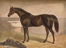 Gladiator, 19th century, (1903). Artist: John Frederick Herring I