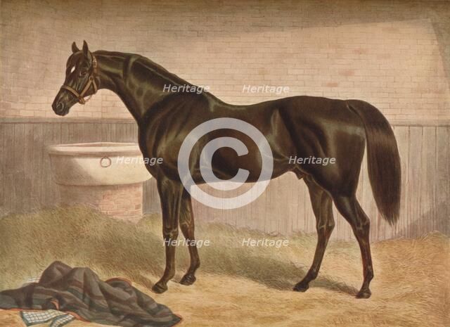 Gladiator, 19th century, (1903). Artist: John Frederick Herring I