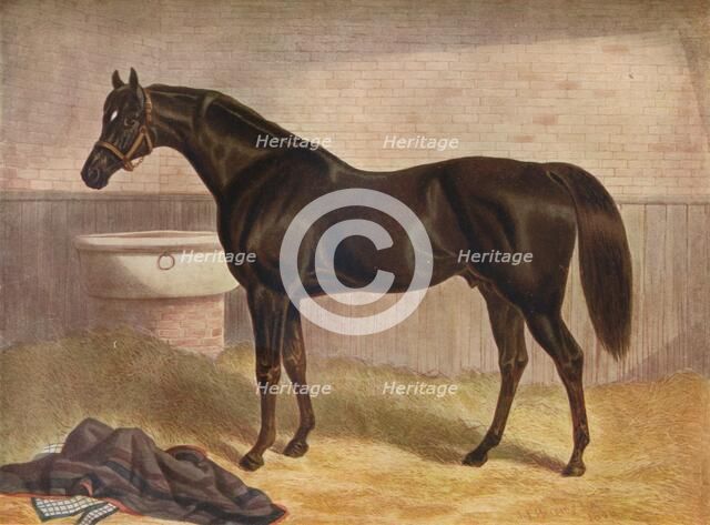 'Gladiator', 19th century. Artist: John Frederick Herring I.