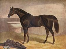 Gladiator 19th century. Artist: John Frederick Herring I