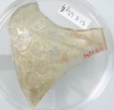 Glass Fragment, Coptic, 4th century. Creator: Unknown
